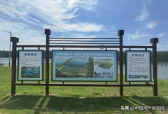 江苏泗洪：探访“中国螃蟹之乡”，寻虾