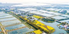 高温天气河蟹青虾养殖应对措施