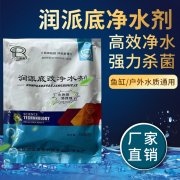 润派改底净水剂